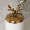 Banke golden deer antlers 05 min | بانکه سرامیکی 3 سایز شاخ گوزن رنگ سفید و طلایی